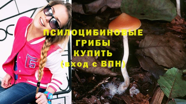 трава Абдулино