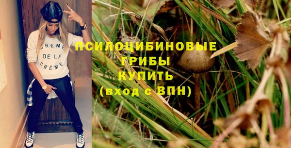 СК Абинск
